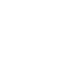 Paradise Capital